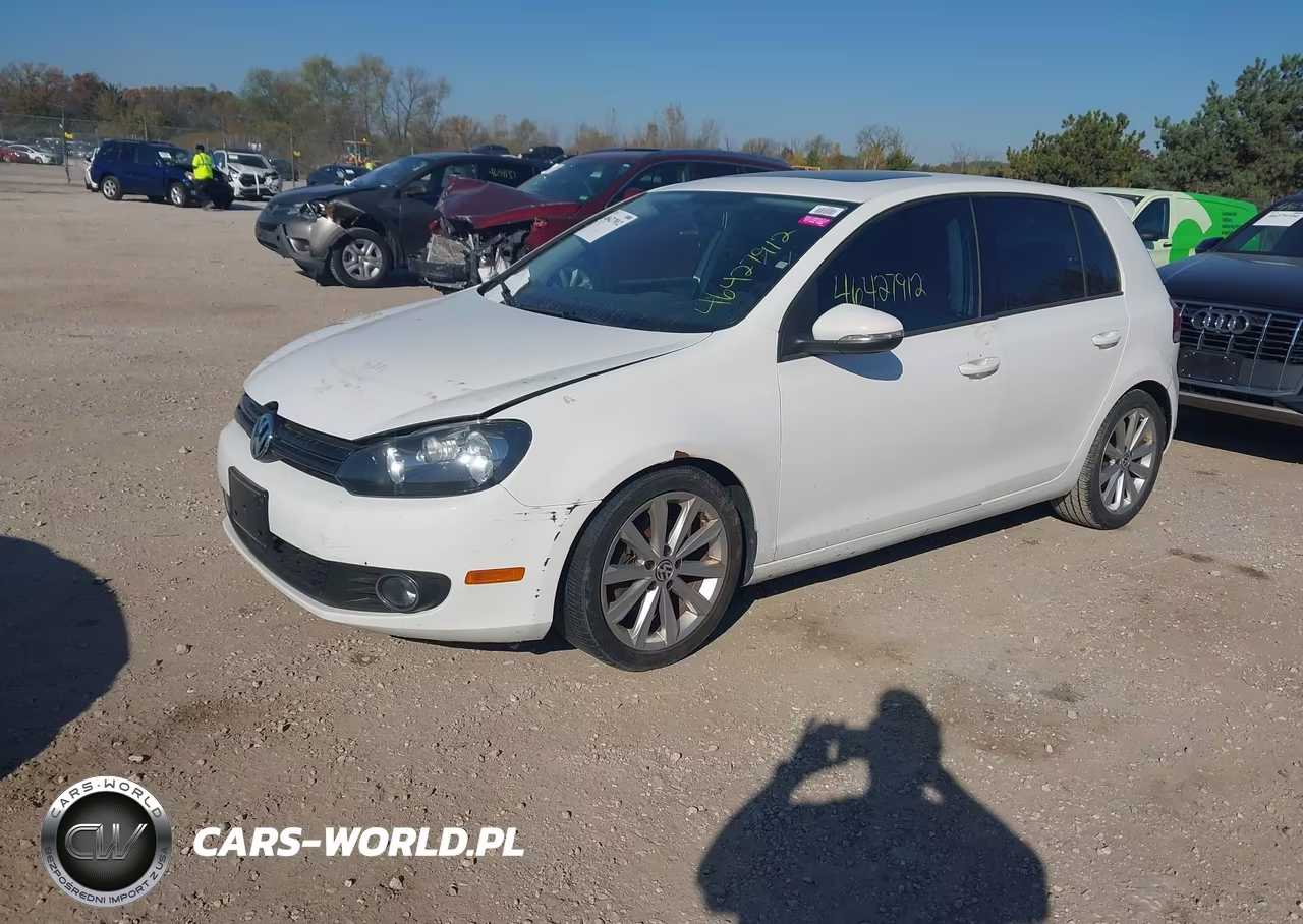 2014 Volkswagen Golf 2.0L Tdi VIN:WVWDM7AJ9EW004445 - 2