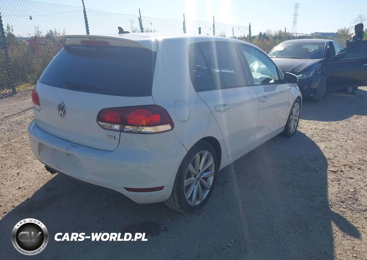 2014 Volkswagen Golf 2.0L Tdi VIN:WVWDM7AJ9EW004445 - 4