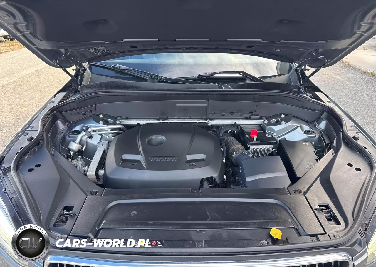 2019 Volvo Xc90 T6 Momentum VIN:YV4A22PK4K1442176 - 10