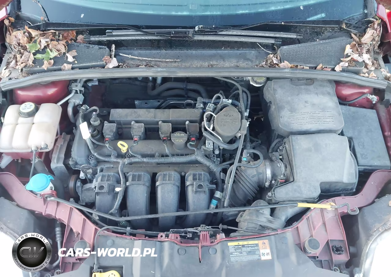 2013 Ford Focus Se VIN:1FADP3K22DL254557 - 10