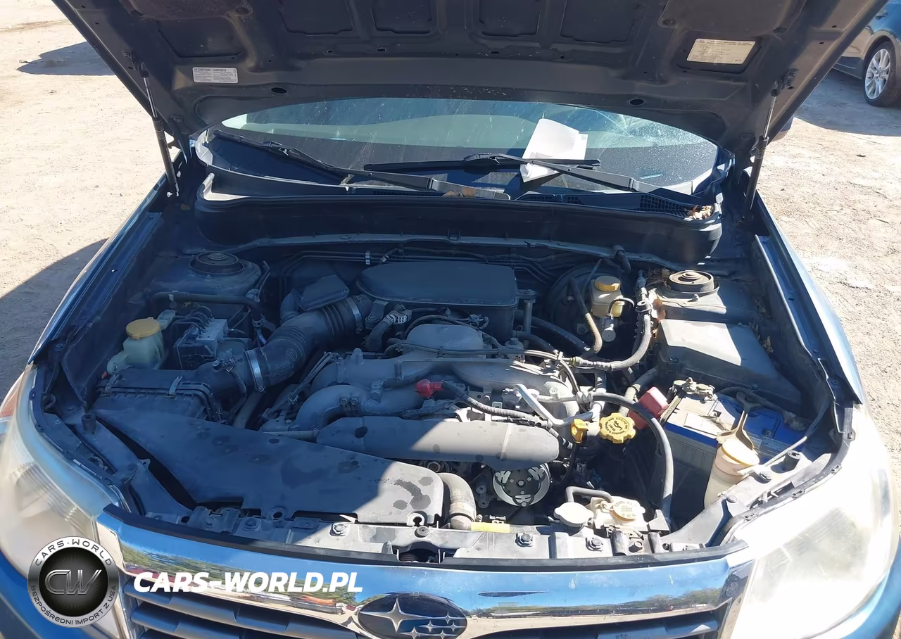 2010 Subaru Forester 2.5X Premium VIN:JF2SH6CC3AH771258 - 10