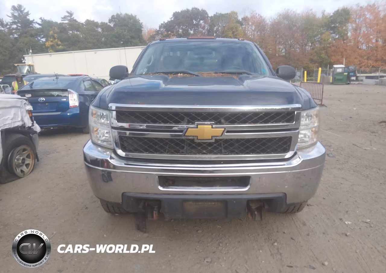 2012 Chevrolet Silverado 2500Hd Work Truck VIN:1GC0KVCG2CZ173356 - 12