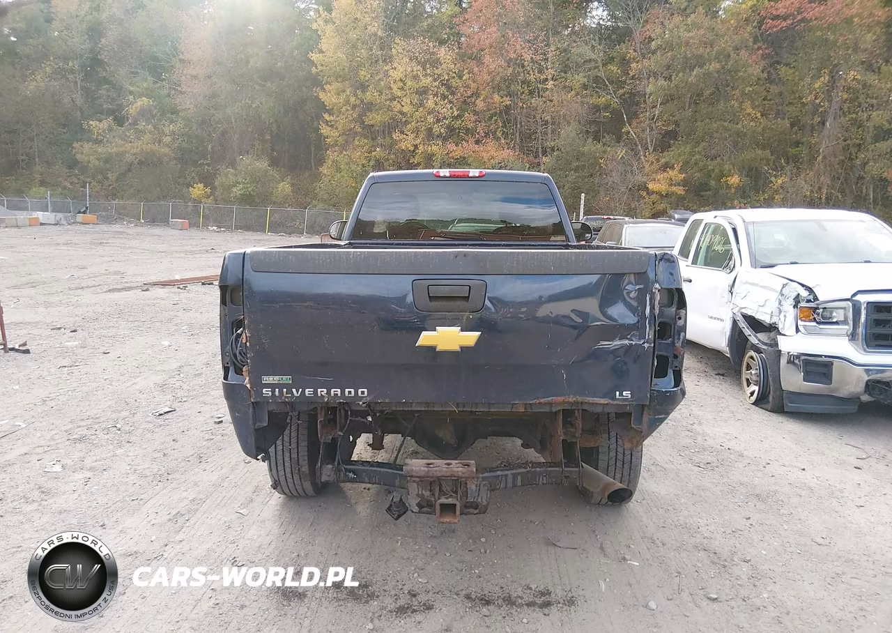2012 Chevrolet Silverado 2500Hd Work Truck VIN:1GC0KVCG2CZ173356 - 16