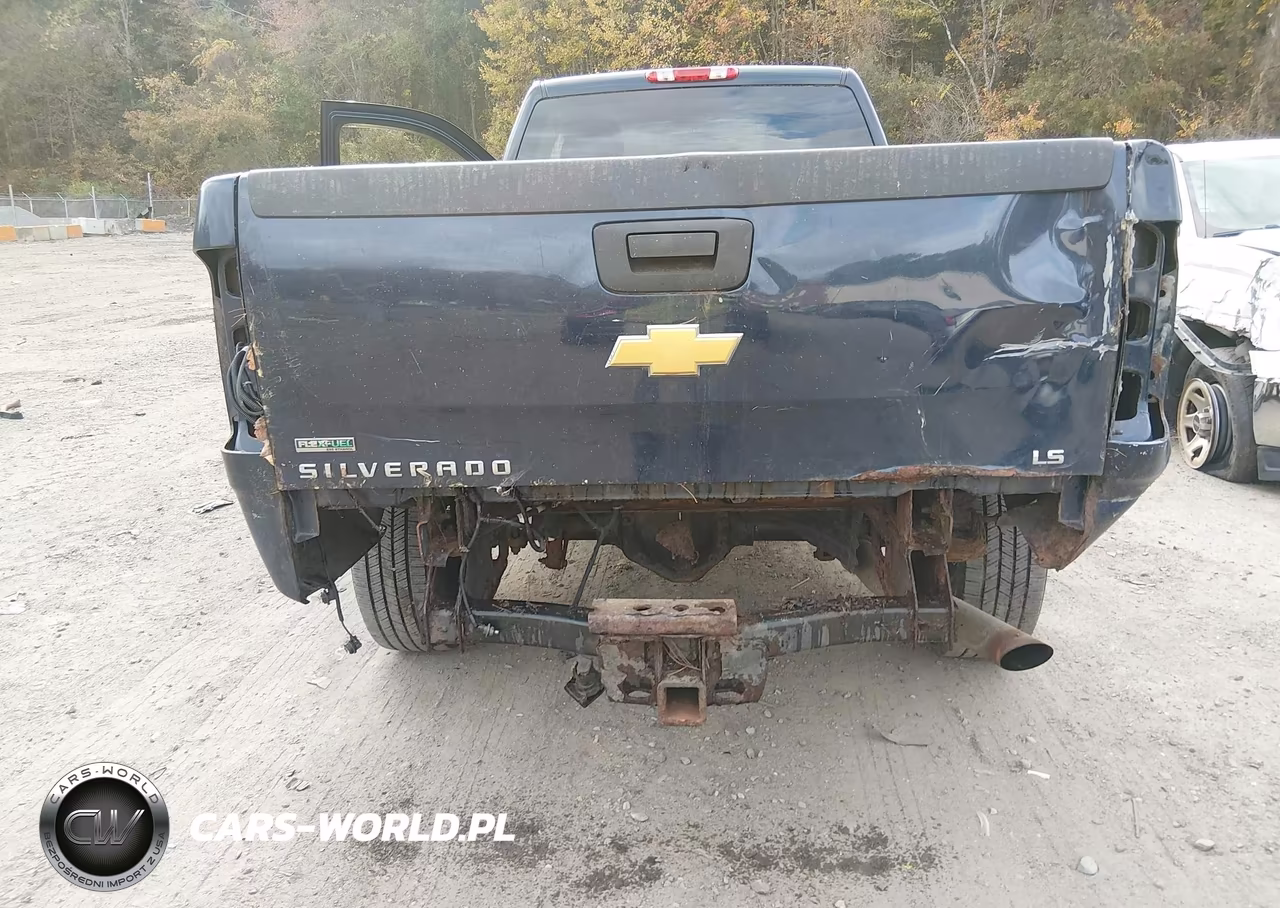 2012 Chevrolet Silverado 2500Hd Work Truck VIN:1GC0KVCG2CZ173356 - 6
