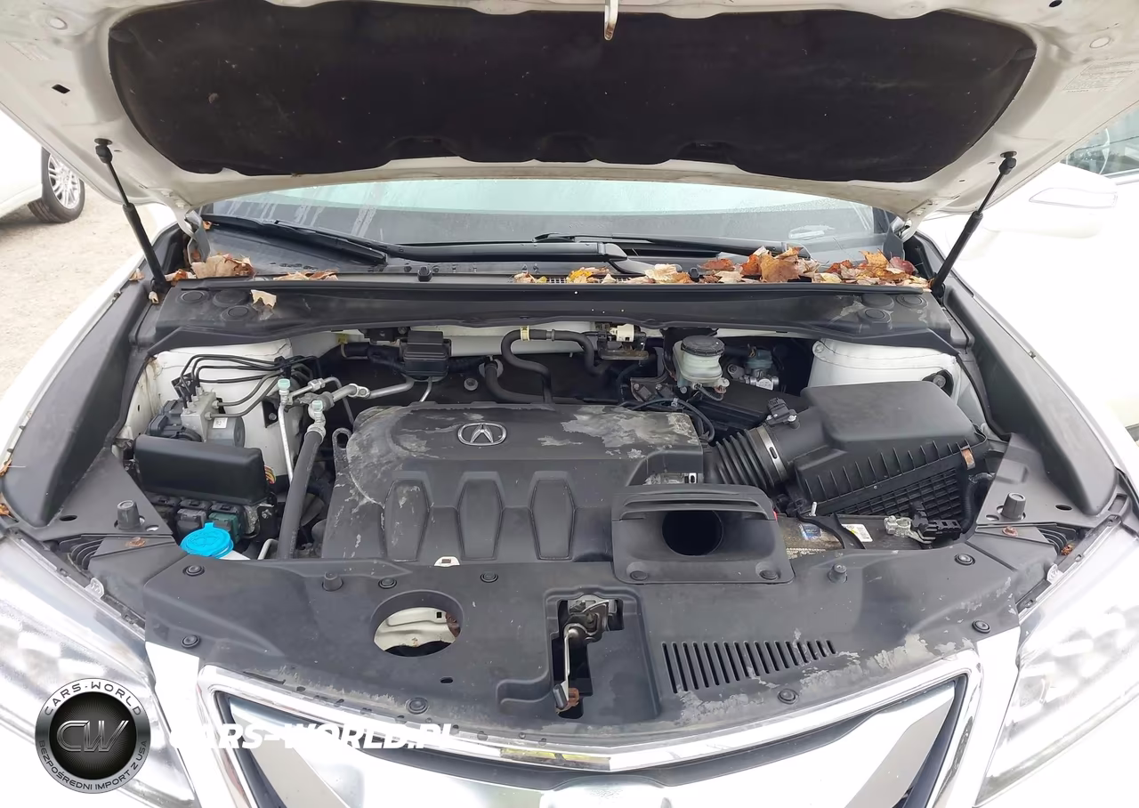 2016 Acura Rdx Advance Package VIN:5J8TB4H72GL010815 - 10