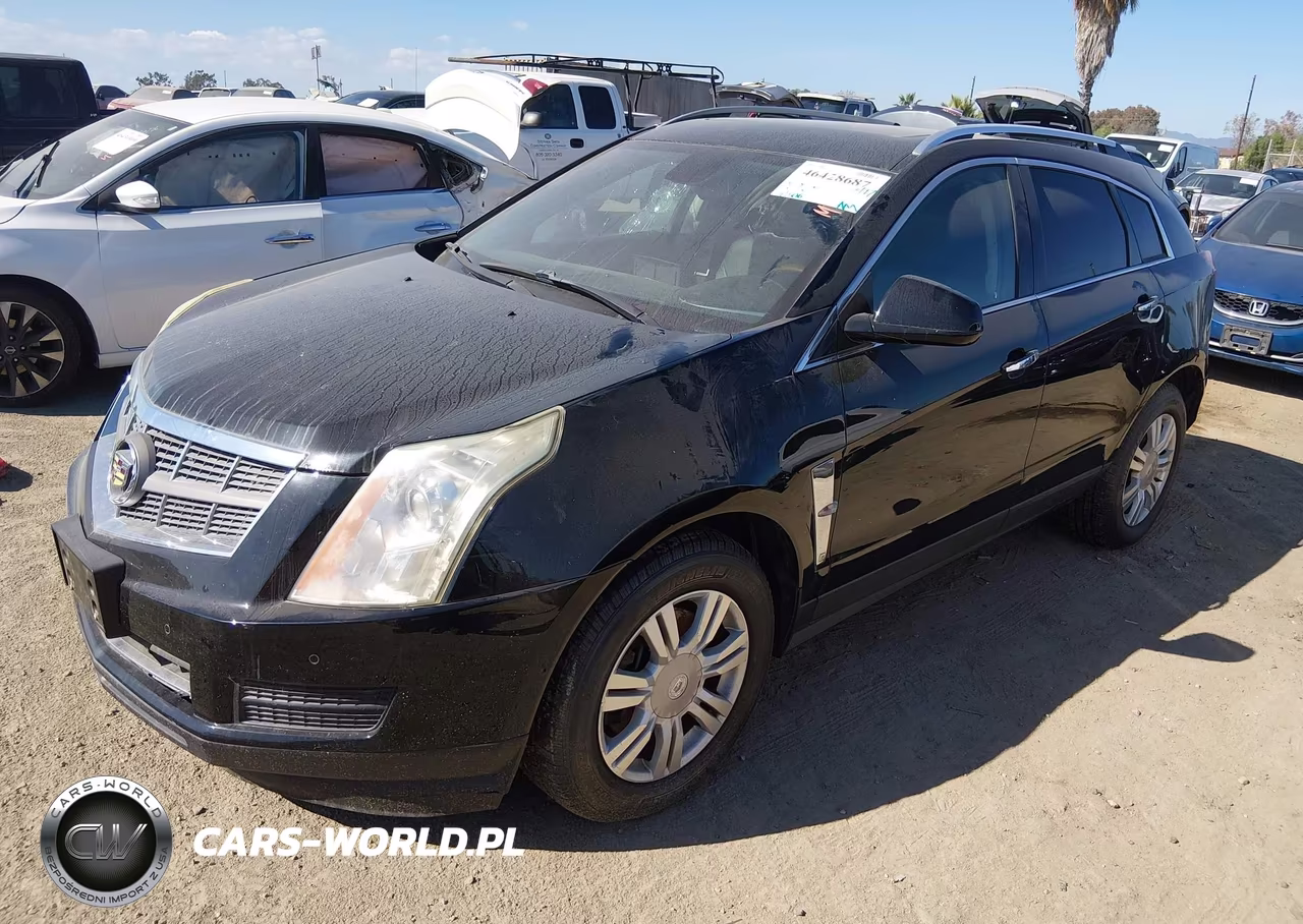 2011 Cadillac Srx Luxury Collection VIN:3GYFNAEYXBS669396 - 2