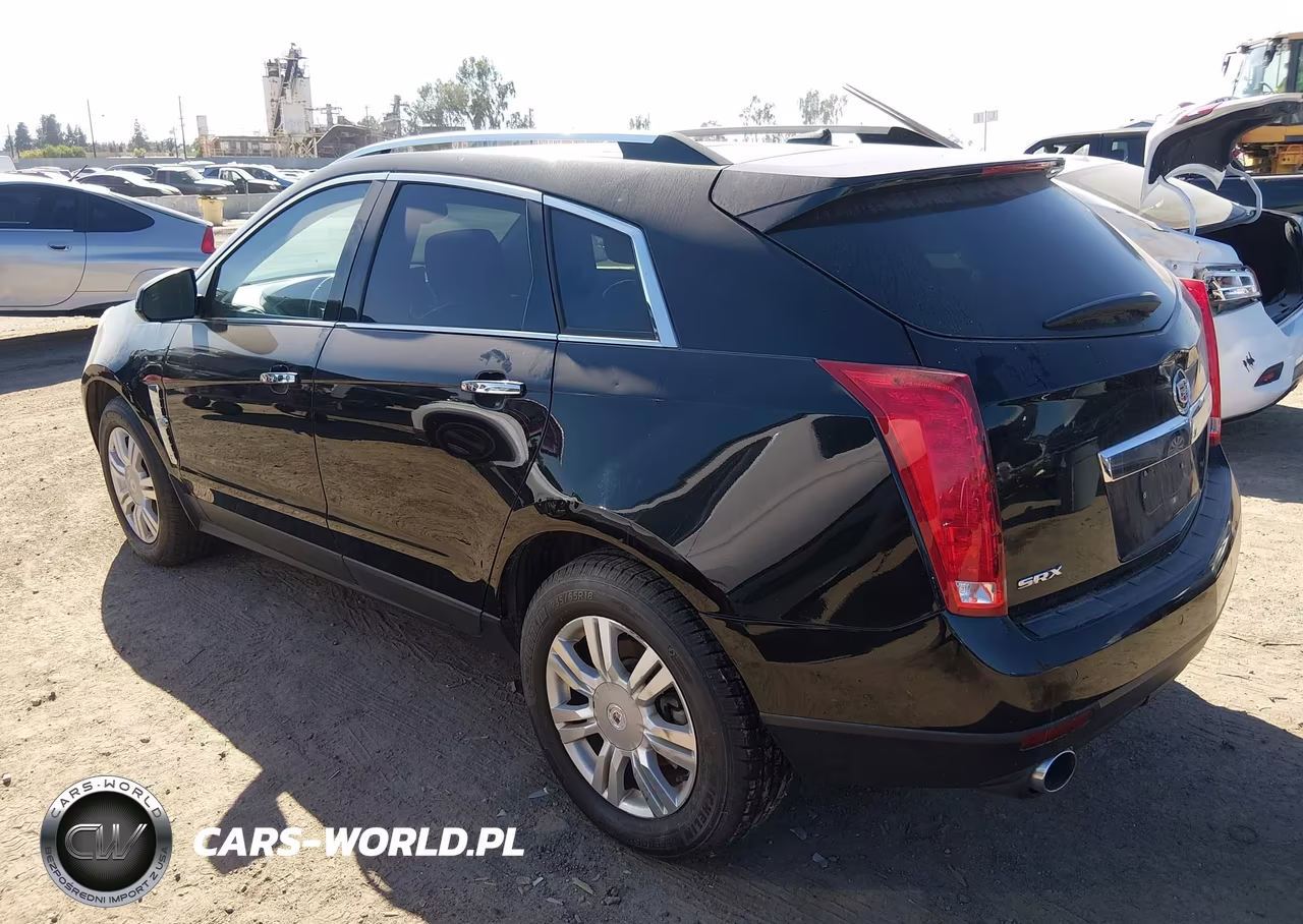 2011 Cadillac Srx Luxury Collection VIN:3GYFNAEYXBS669396 - 3