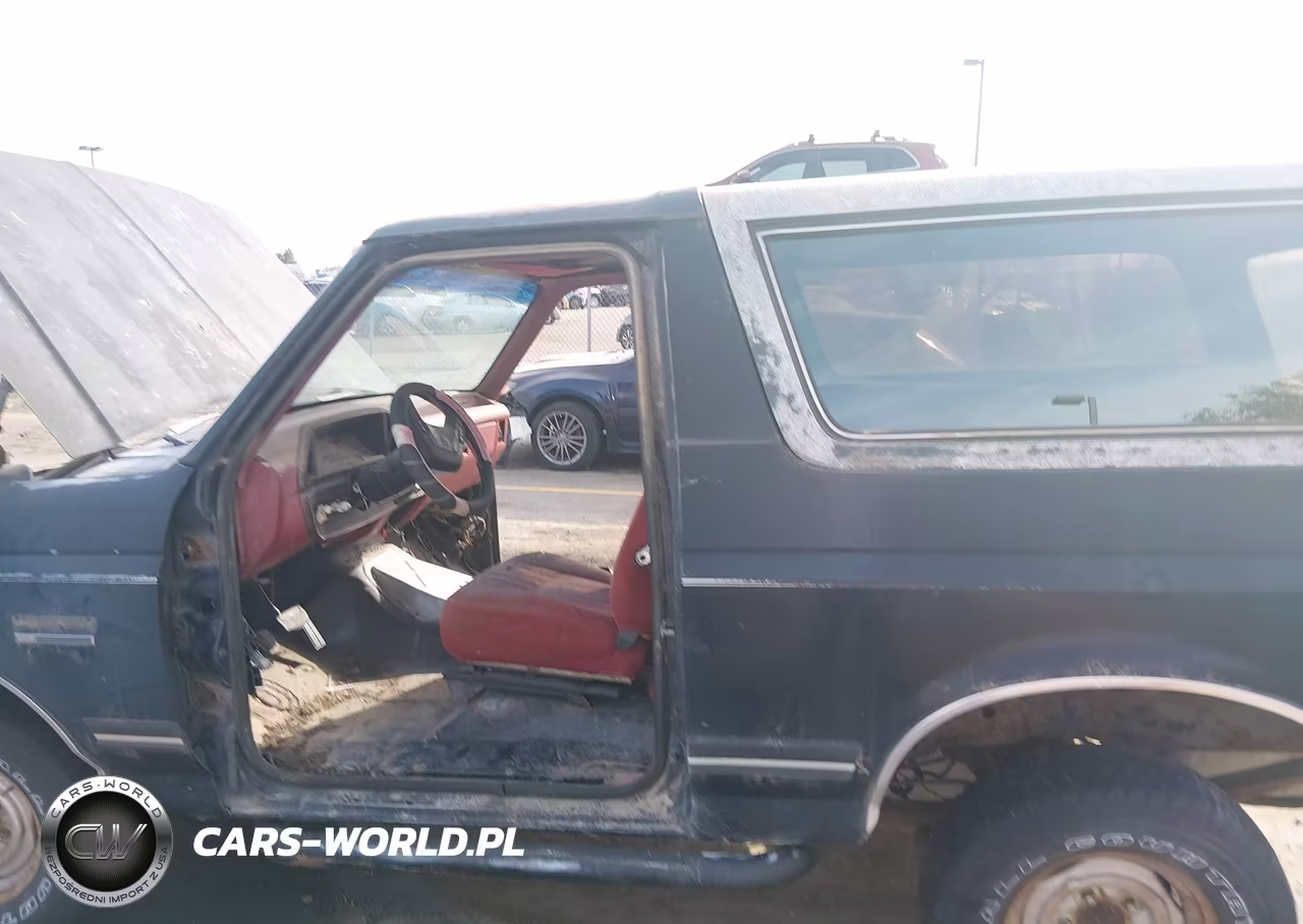 1989 Ford Bronco U100 VIN:1FMEU15N3KLA54460 - 12