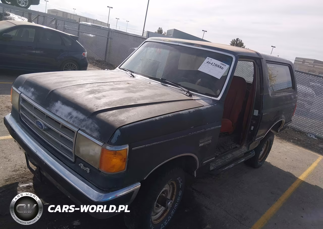 1989 Ford Bronco U100 VIN:1FMEU15N3KLA54460 - 2