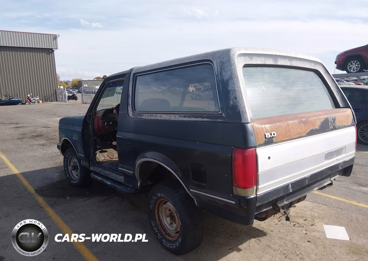 1989 Ford Bronco U100 VIN:1FMEU15N3KLA54460 - 3