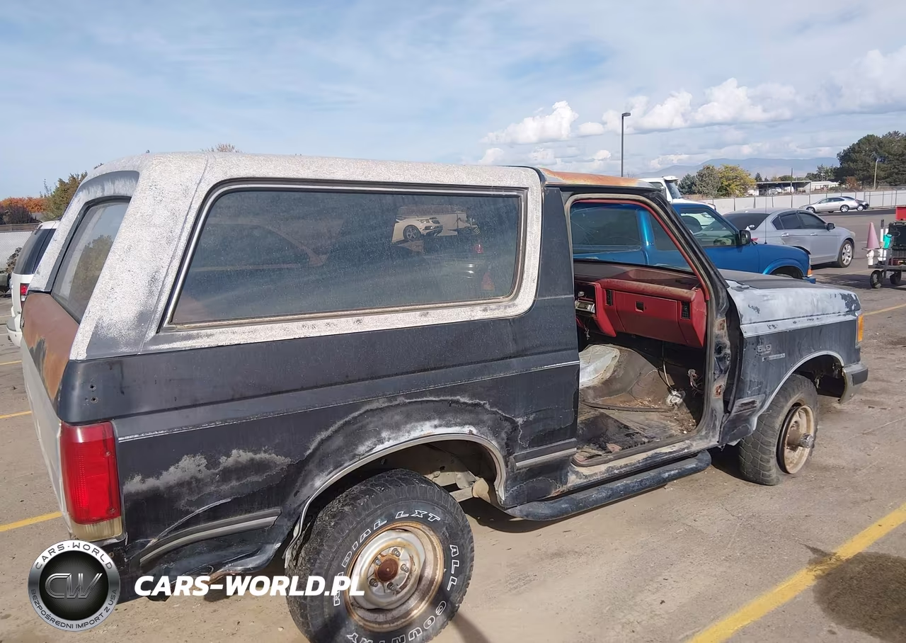 1989 Ford Bronco U100 VIN:1FMEU15N3KLA54460 - 4