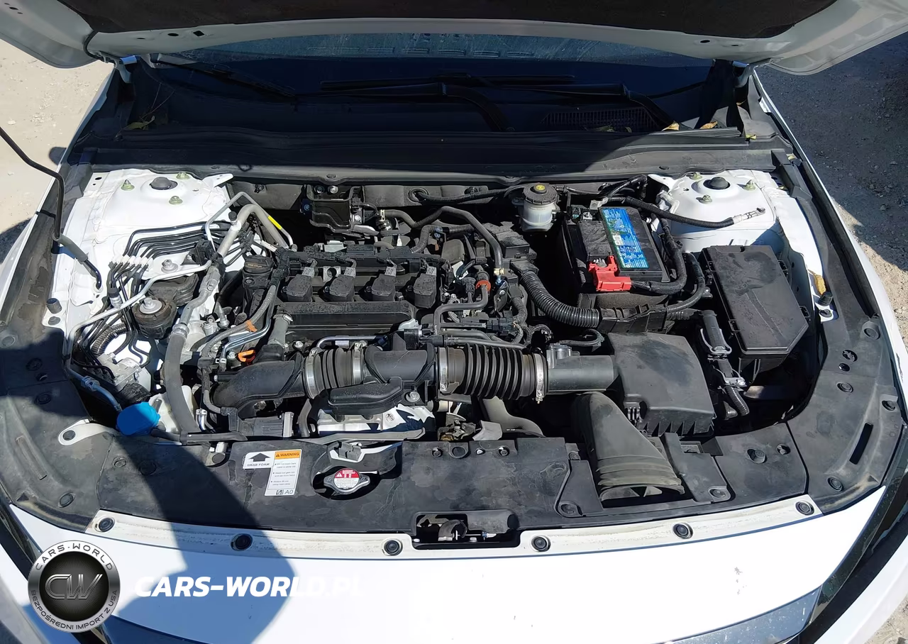 HONDA ACCORD VIN:1HGCV1F34NA124295 - 10