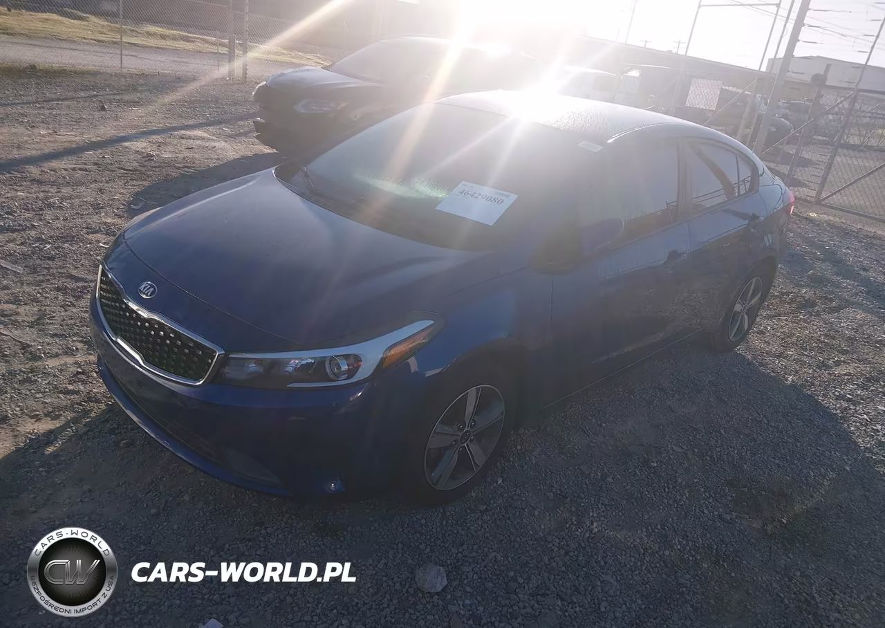 2018 Kia Forte Lx VIN:3KPFL4A75JE193159 - 2