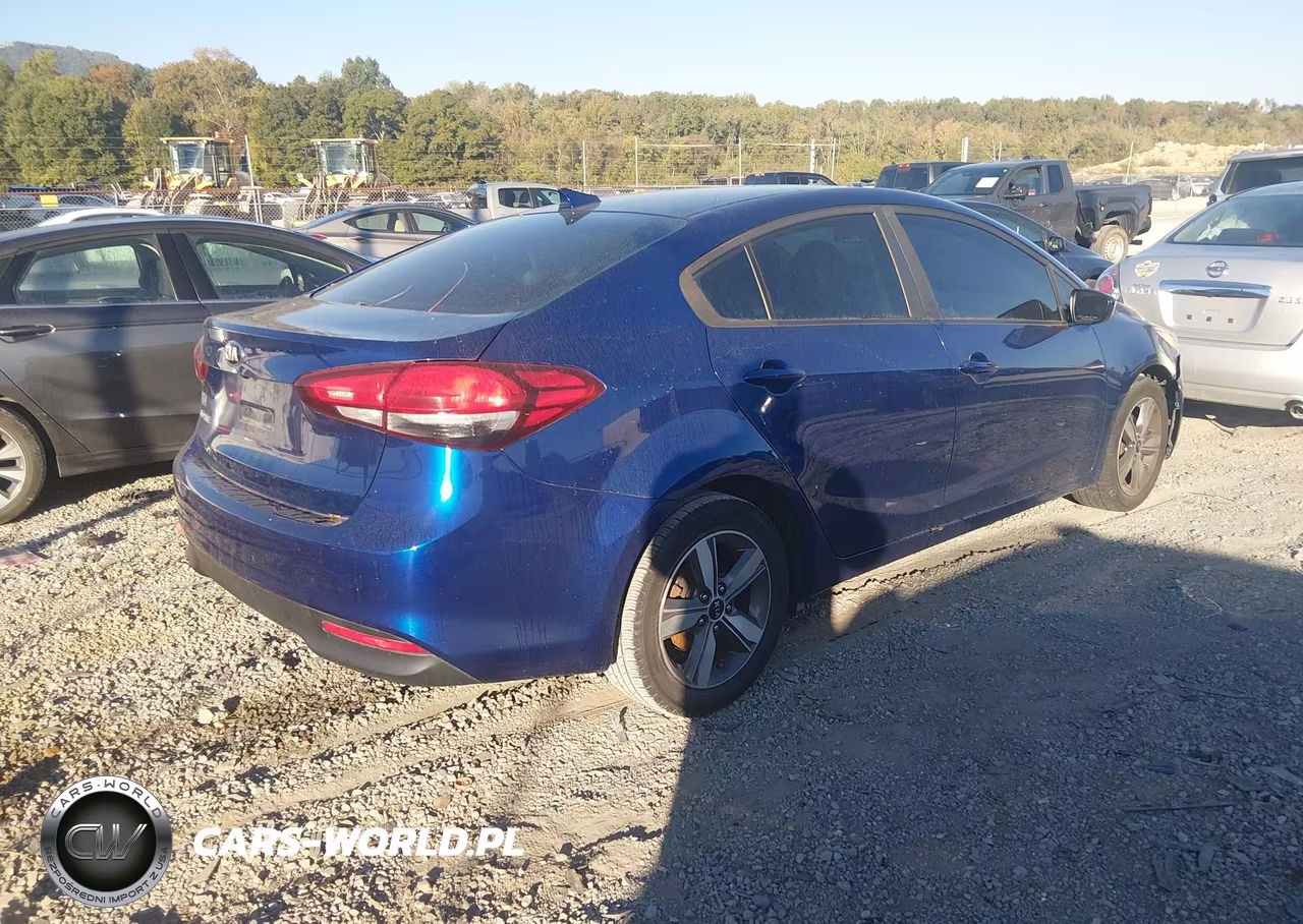 2018 Kia Forte Lx VIN:3KPFL4A75JE193159 - 4