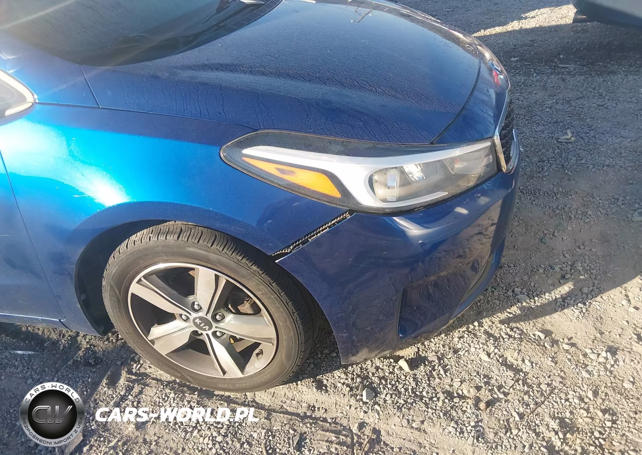 2018 Kia Forte Lx VIN:3KPFL4A75JE193159 - 6
