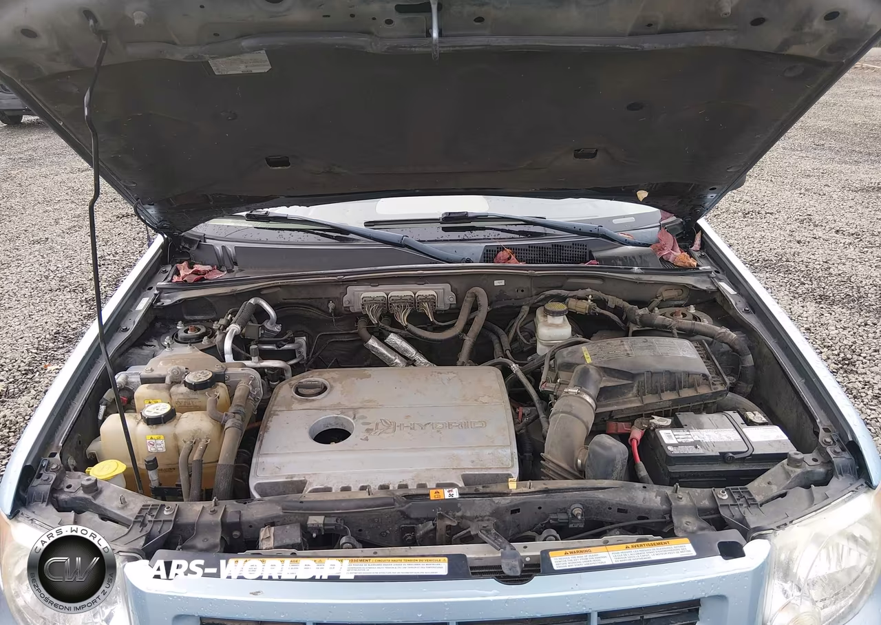 2009 Ford Escape Hybrid Limited VIN:1FMCU59339KC12044 - 10