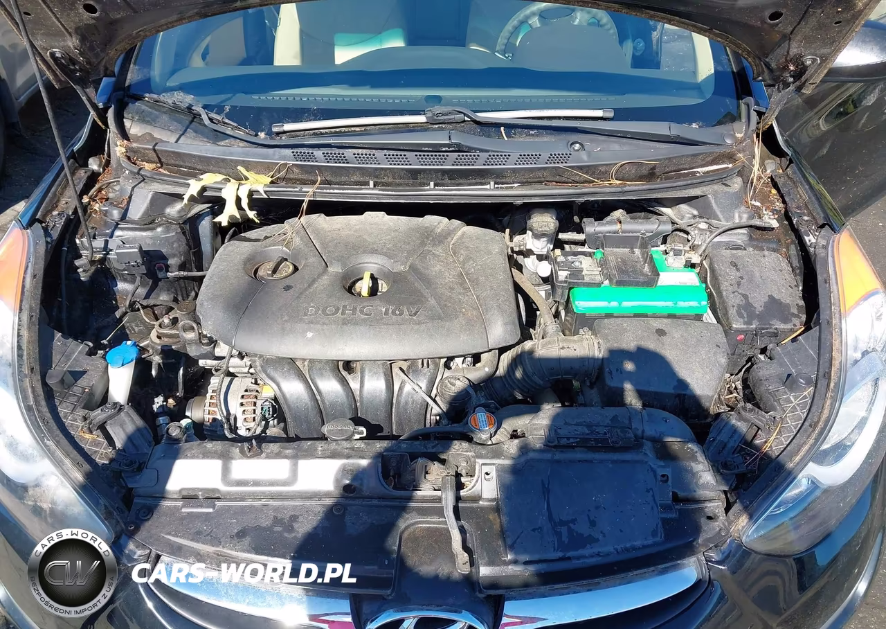 2012 Hyundai Elantra Gls VIN:5NPDH4AE5CH103028 - 10