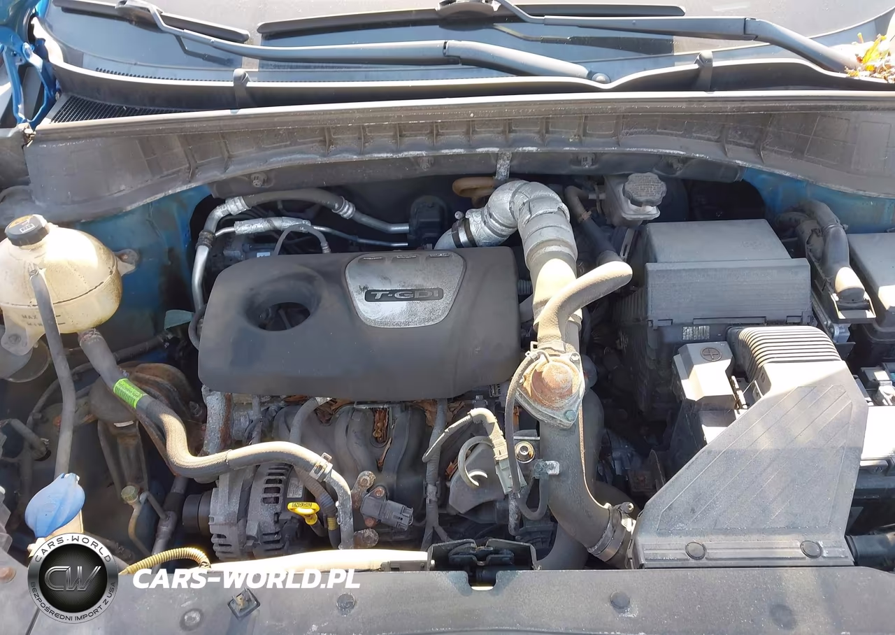 2017 Hyundai Tucson Sport VIN:KM8J3CA26HU591206 - 10