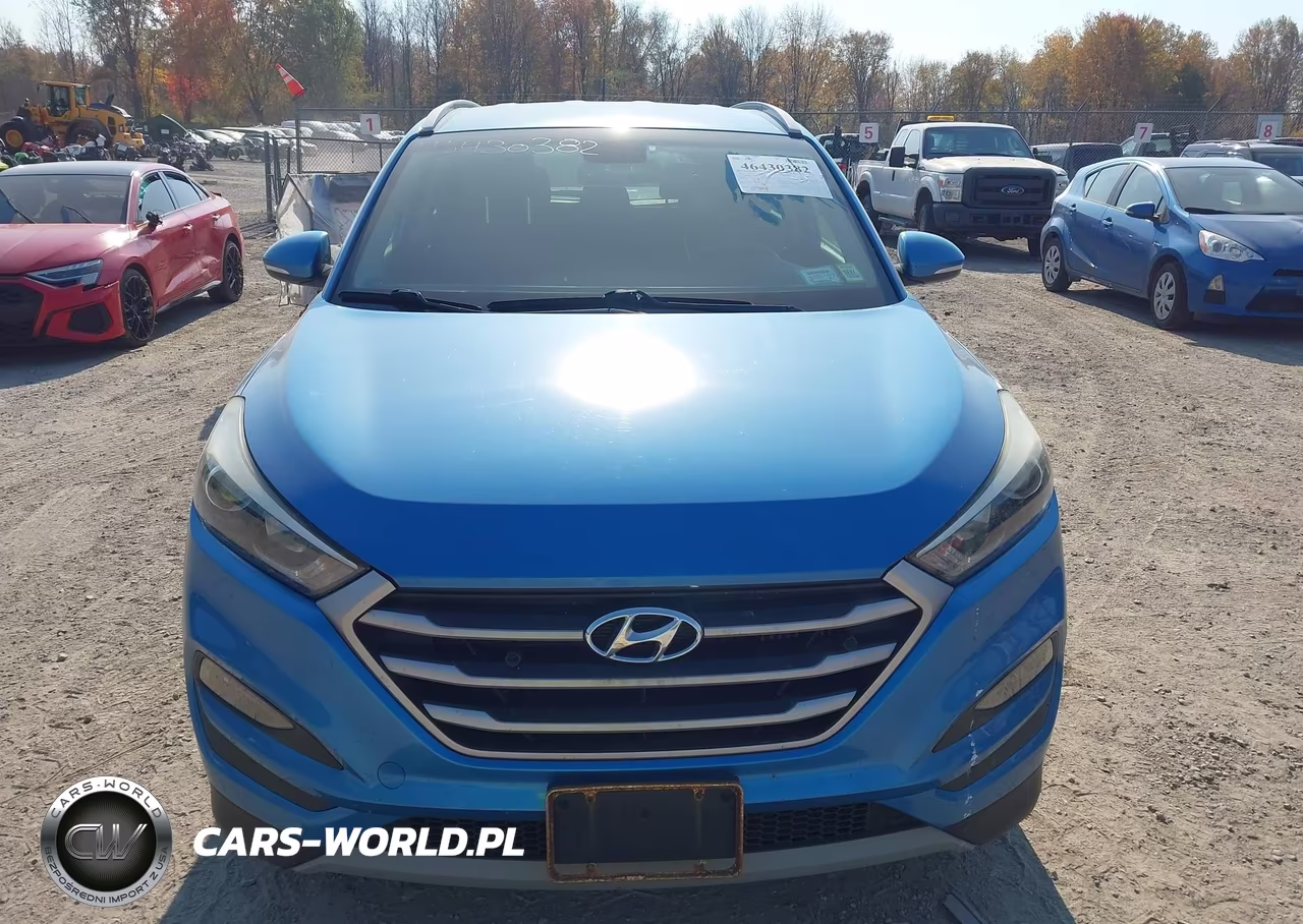 2017 Hyundai Tucson Sport VIN:KM8J3CA26HU591206 - 12