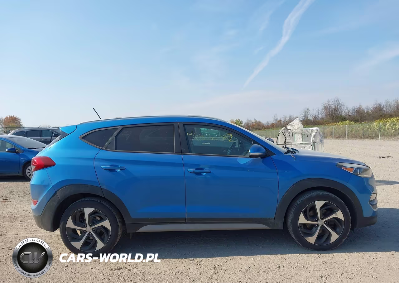 2017 Hyundai Tucson Sport VIN:KM8J3CA26HU591206 - 13