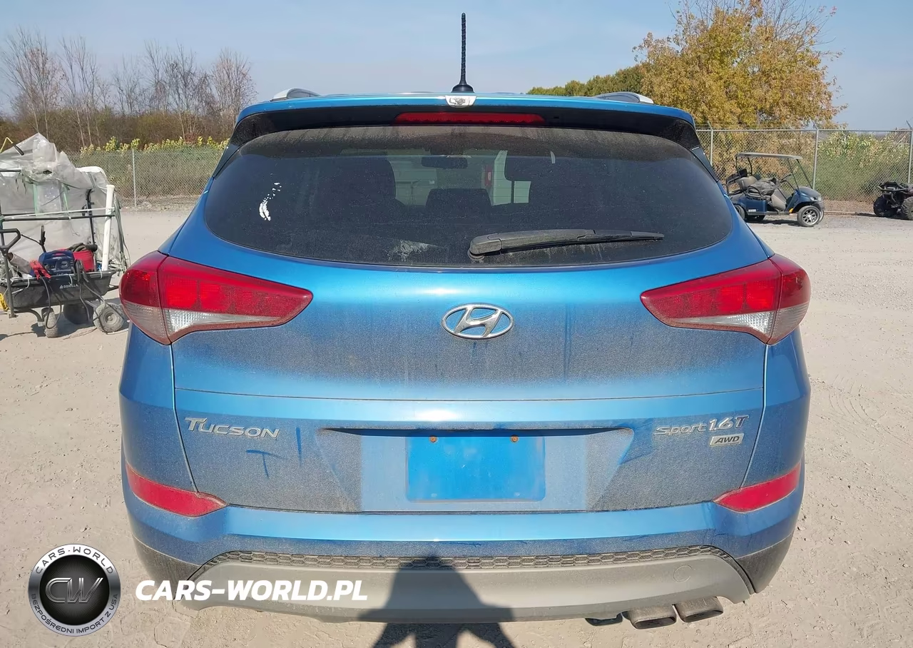 2017 Hyundai Tucson Sport VIN:KM8J3CA26HU591206 - 16