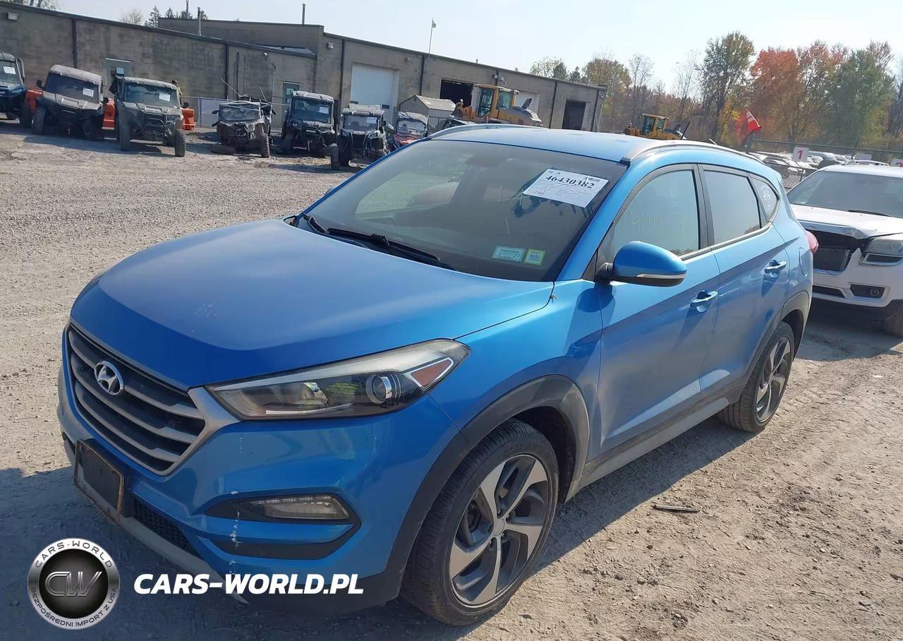 2017 Hyundai Tucson Sport VIN:KM8J3CA26HU591206 - 2