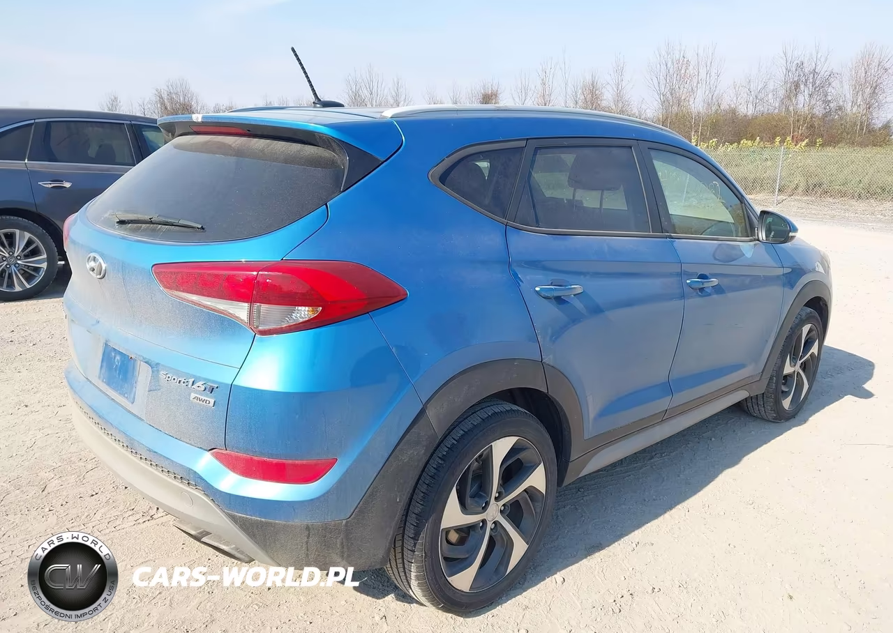 2017 Hyundai Tucson Sport VIN:KM8J3CA26HU591206 - 4