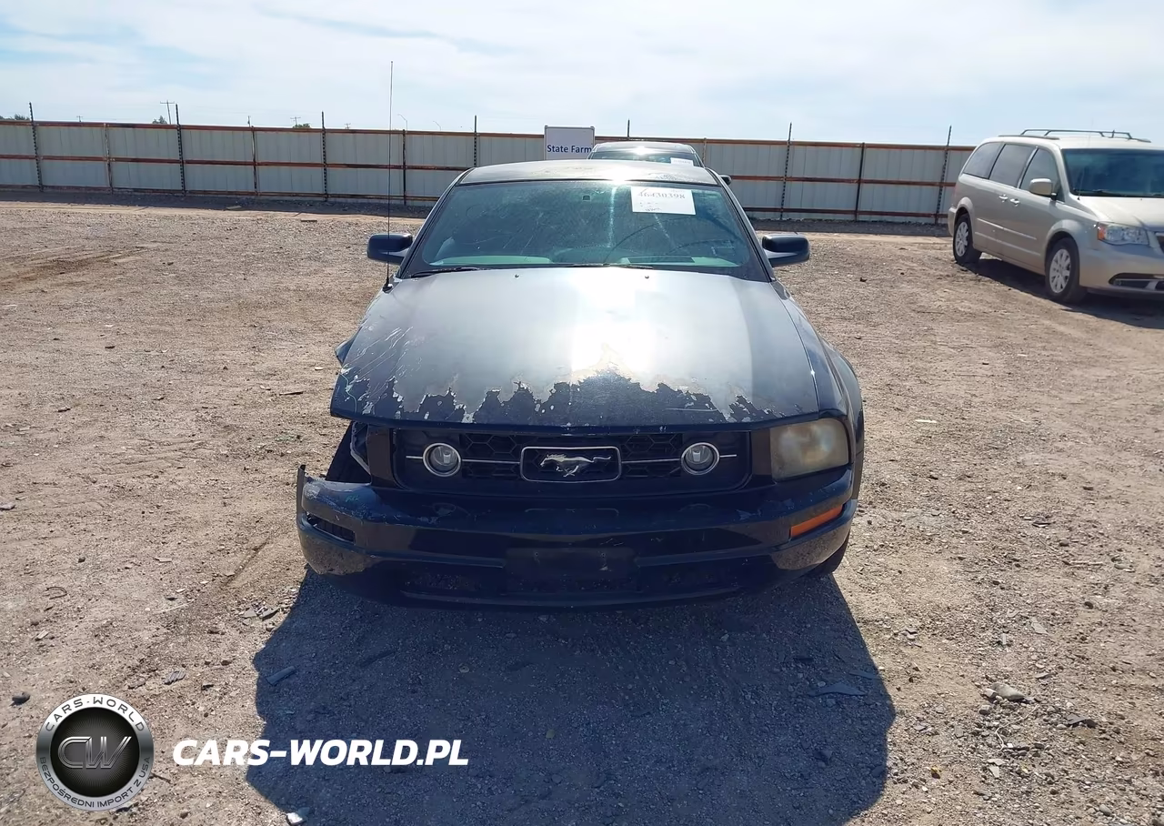 2007 Ford Mustang V6 Deluxe-V6 Premium VIN:1ZVHT80N275324534 - 13