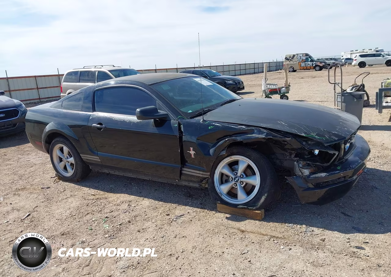 2007 Ford Mustang V6 Deluxe-V6 Premium VIN:1ZVHT80N275324534 - 14
