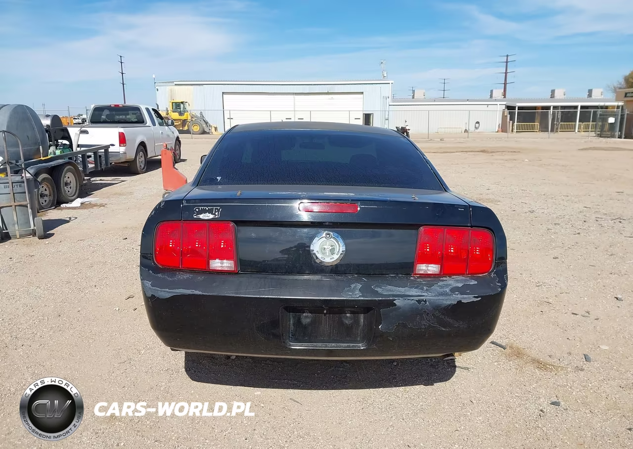 2007 Ford Mustang V6 Deluxe-V6 Premium VIN:1ZVHT80N275324534 - 17