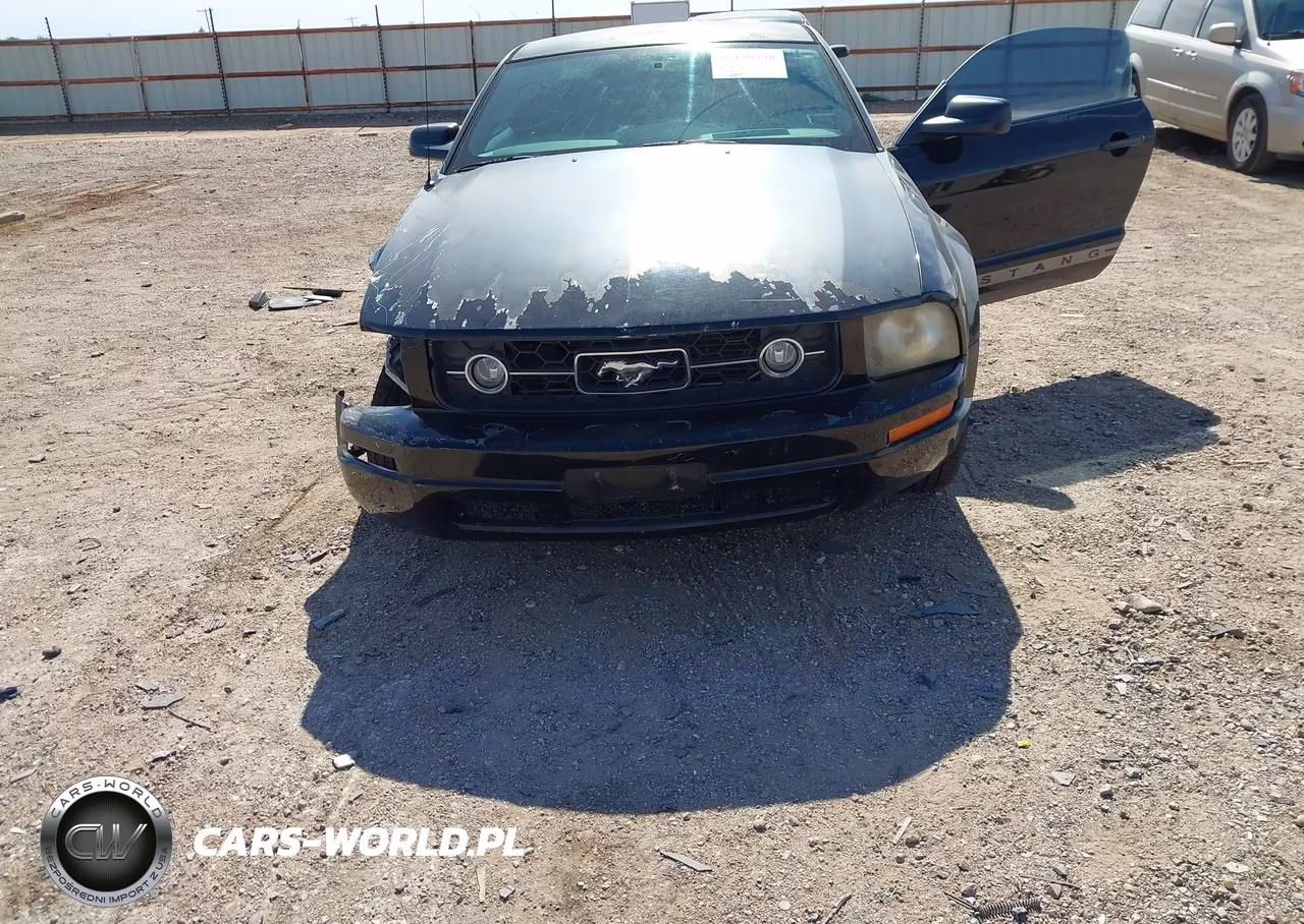 2007 Ford Mustang V6 Deluxe-V6 Premium VIN:1ZVHT80N275324534 - 6