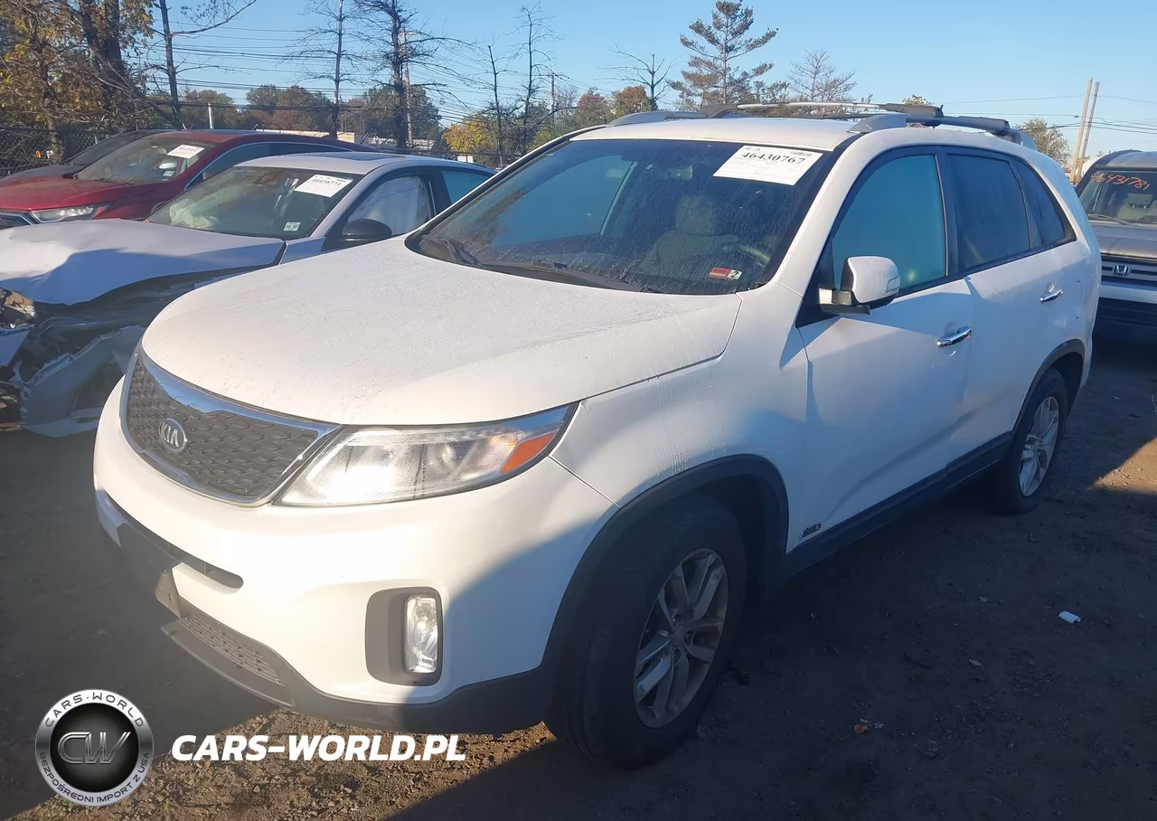 2014 Kia Sorento Lx VIN:5XYKTCA67EG505717 - 2