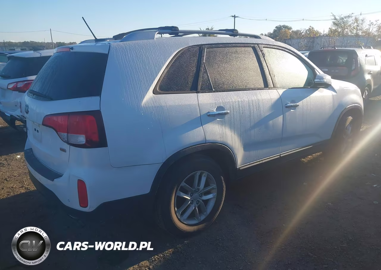 2014 Kia Sorento Lx VIN:5XYKTCA67EG505717 - 4