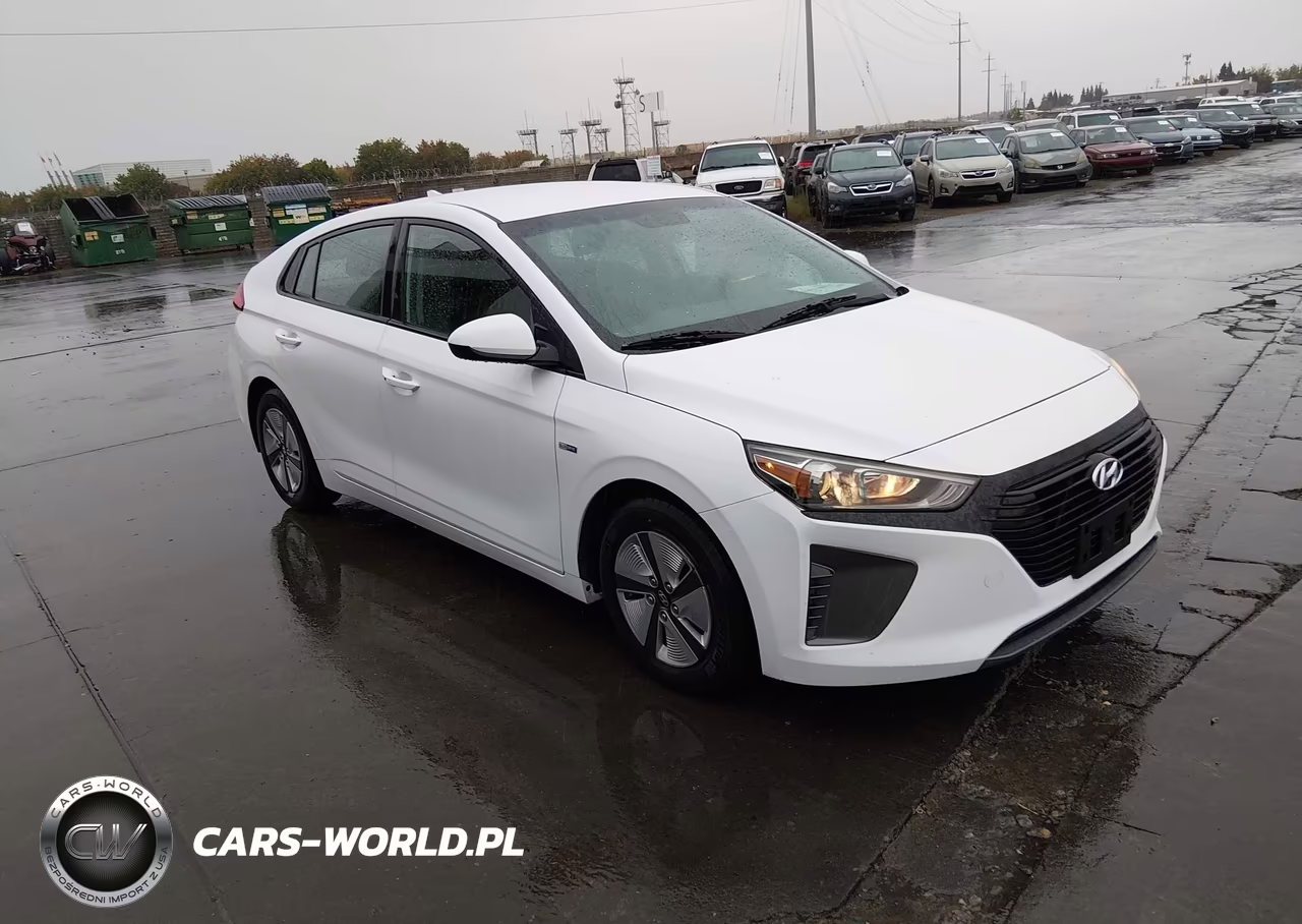 2019 Hyundai Ioniq Hybrid Blue VIN:KMHC65LC7KU108010 - 1