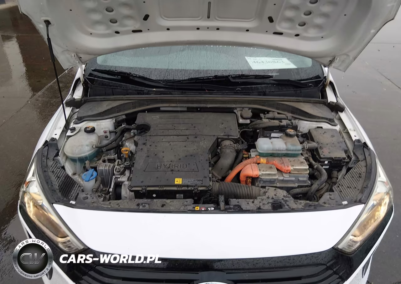 2019 Hyundai Ioniq Hybrid Blue VIN:KMHC65LC7KU108010 - 10