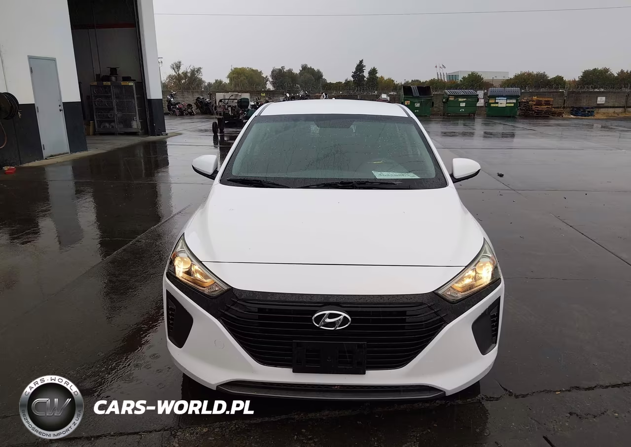 2019 Hyundai Ioniq Hybrid Blue VIN:KMHC65LC7KU108010 - 12