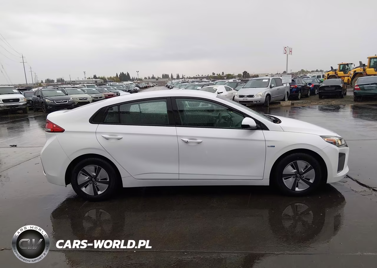2019 Hyundai Ioniq Hybrid Blue VIN:KMHC65LC7KU108010 - 13