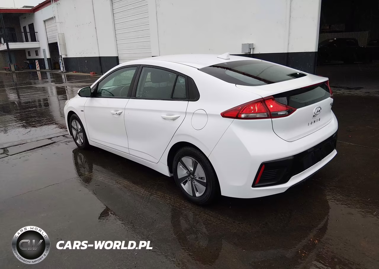 2019 Hyundai Ioniq Hybrid Blue VIN:KMHC65LC7KU108010 - 3