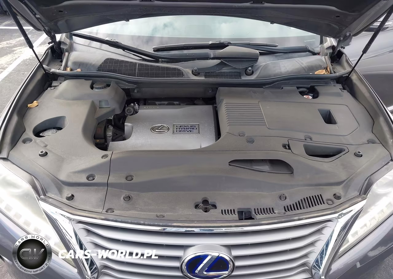 2013 Lexus Rx 450H VIN:JTJZB1BA1D2007513 - 10
