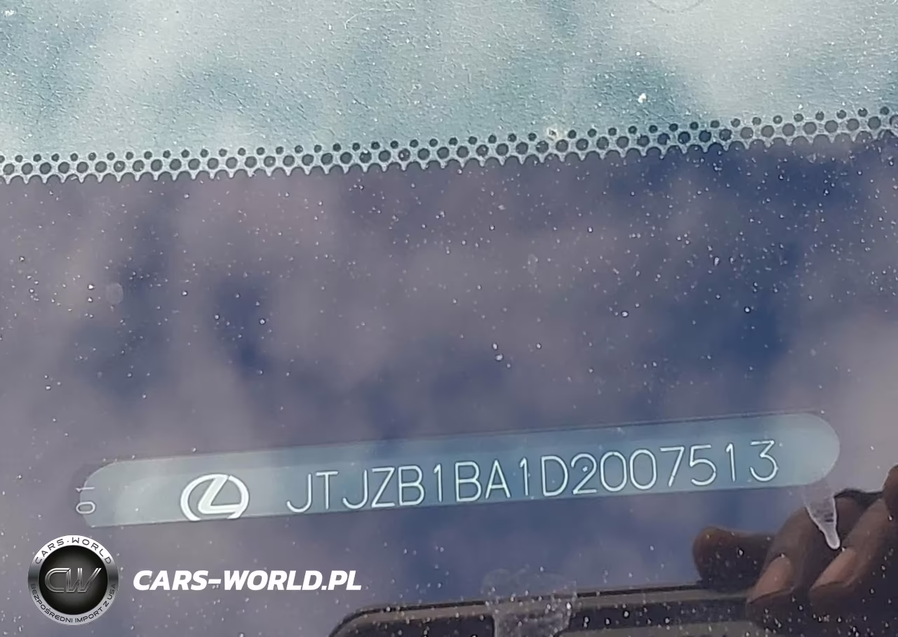 2013 Lexus Rx 450H VIN:JTJZB1BA1D2007513 - 9