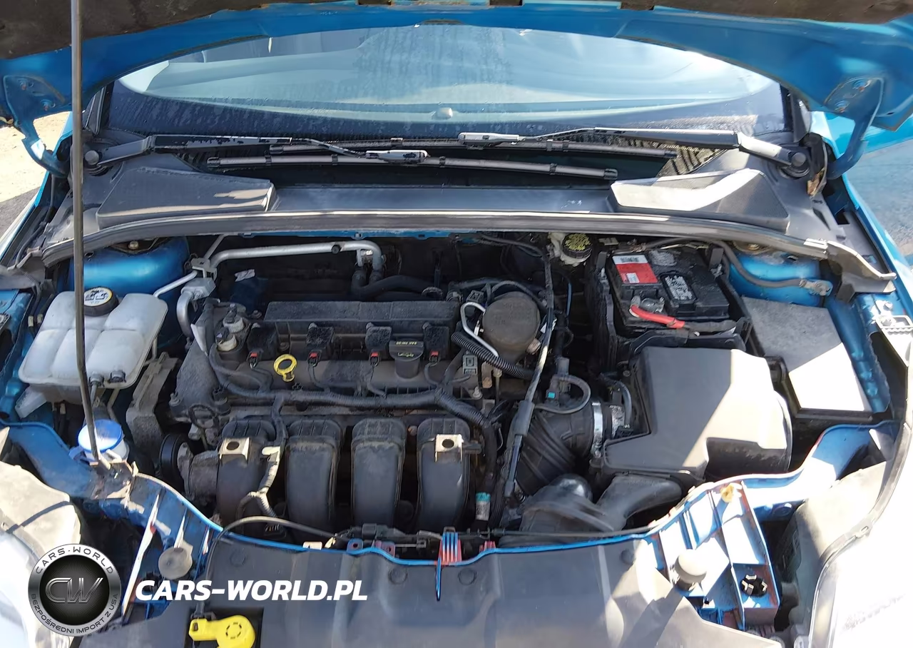 2014 Ford Focus Se VIN:1FADP3K2XEL107629 - 10