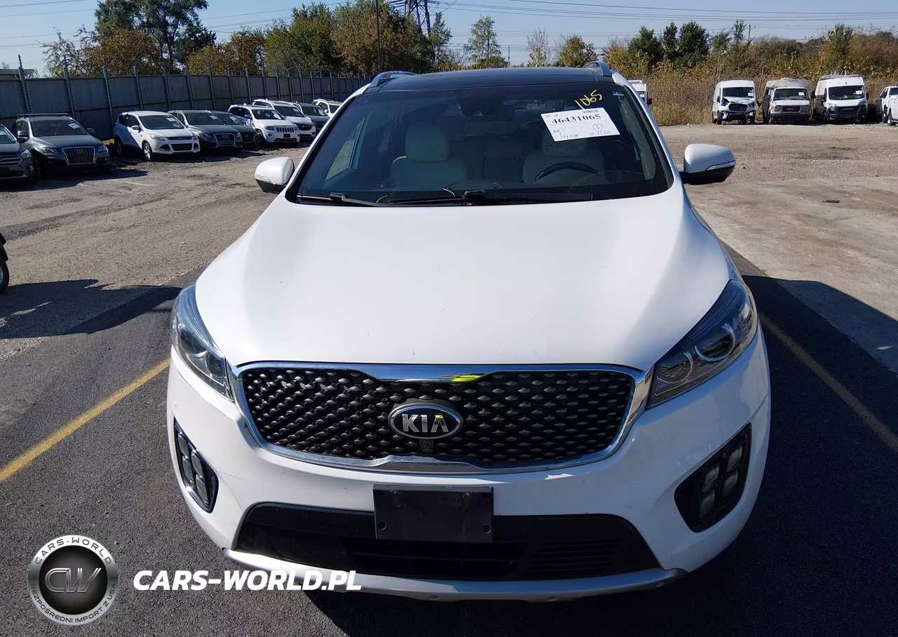 2017 Kia Sorento 3.3L Sxl VIN:5XYPKDA54HG243147 - 12