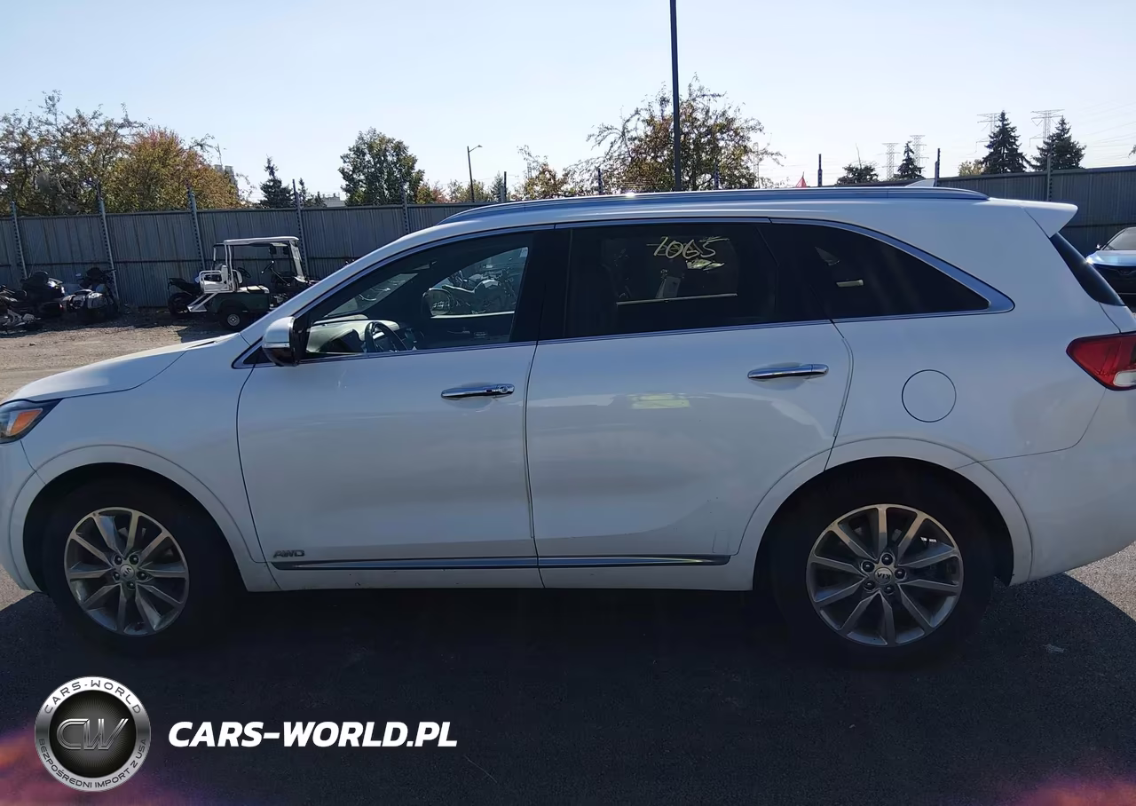 2017 Kia Sorento 3.3L Sxl VIN:5XYPKDA54HG243147 - 14
