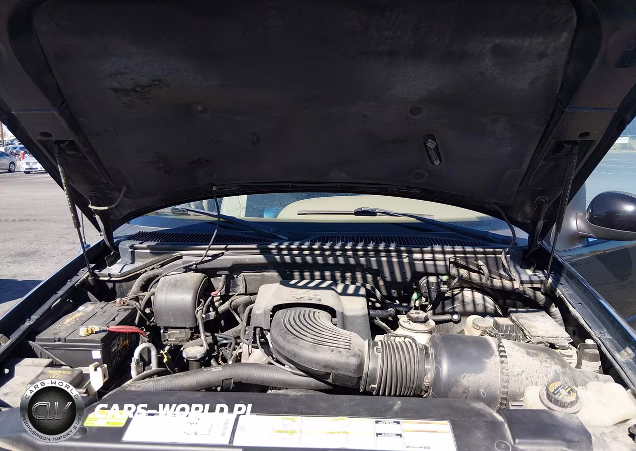 1999 Lincoln Navigator VIN:5LMPU28L3XLJ04268 - 10