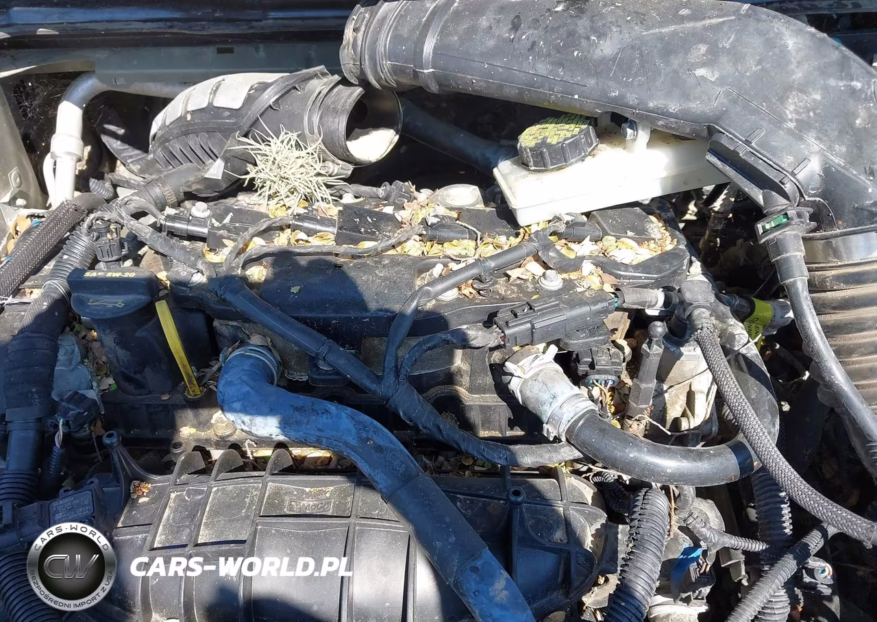 2013 Ford Escape Sel VIN:1FMCU0HX5DUA29085 - 13
