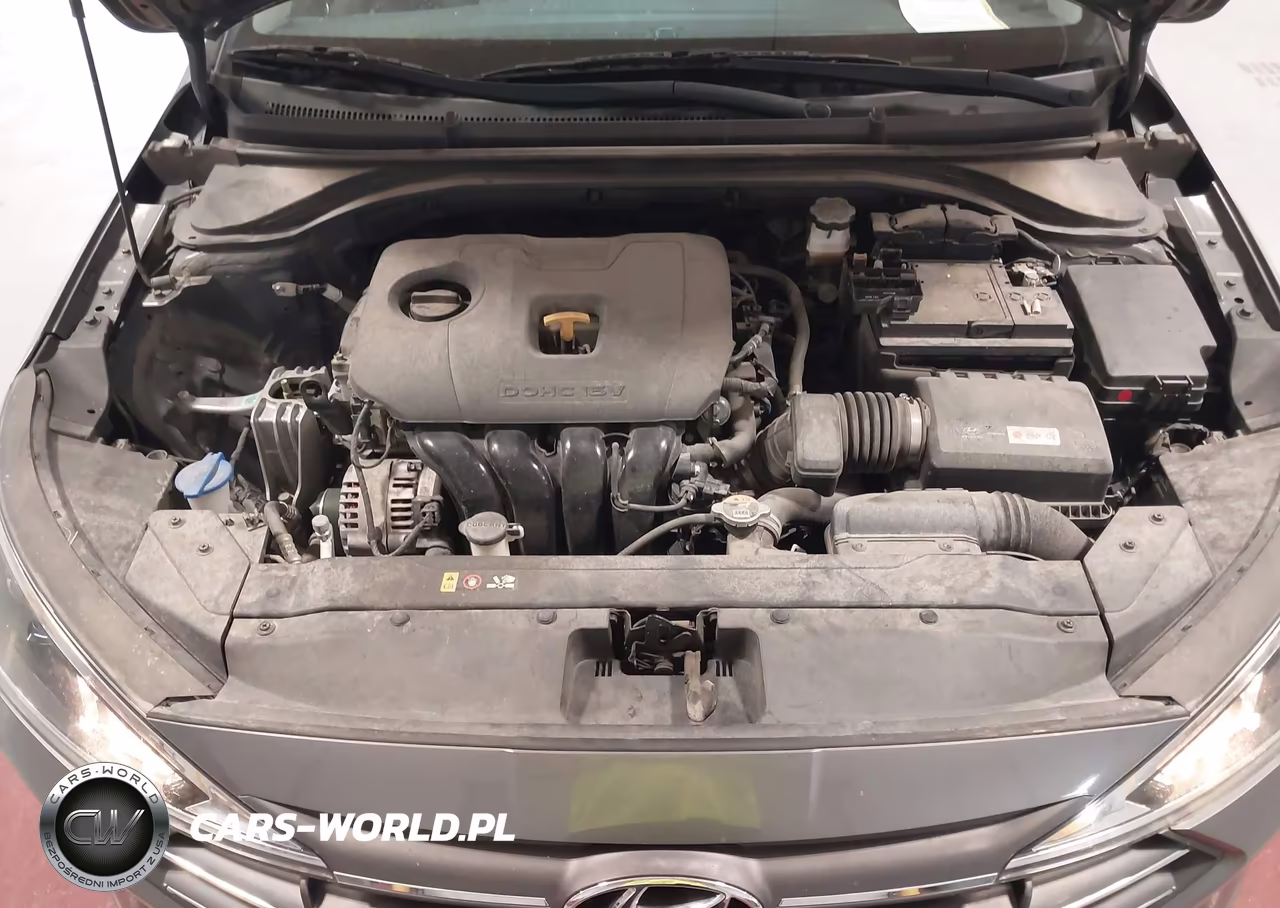 2019 Hyundai Elantra Se VIN:5NPD74LF4KH490162 - 10