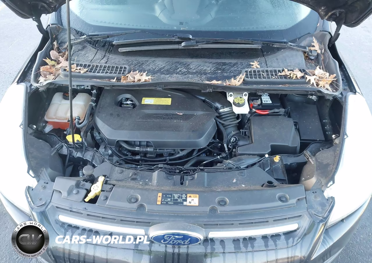 2014 Ford Escape Se VIN:1FMCU0GXXEUC63791 - 10