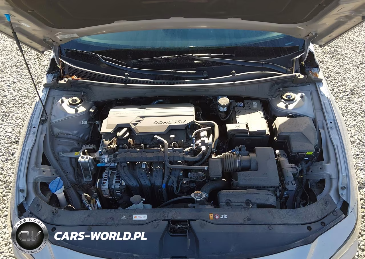 2025 Hyundai Elantra Limited VIN:KMHLP4DG2SU966882 - 10