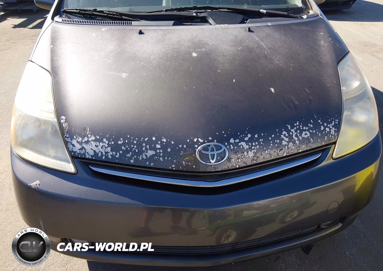 2009 Toyota Prius Touring VIN:JTDKB20U993528164 - 6