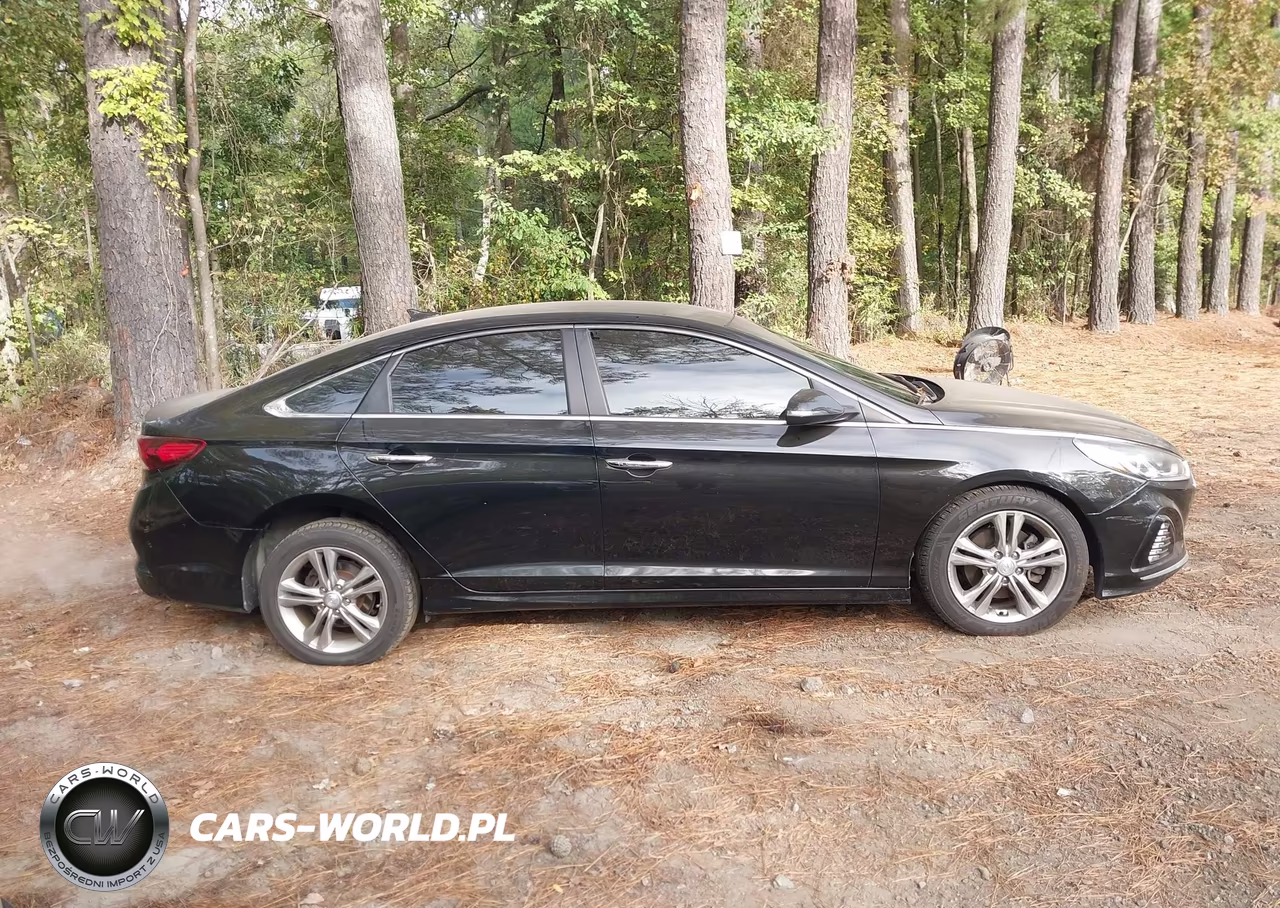 2018 Hyundai Sonata Sel+ VIN:5NPE34AF2JH710478 - 13